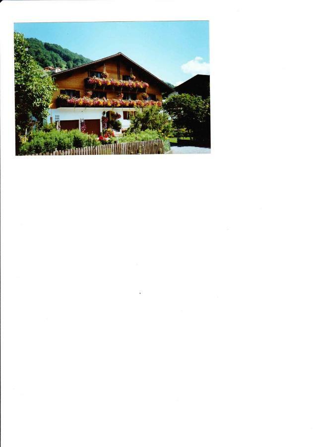 Apartment Am Bach Mellau Exterior foto